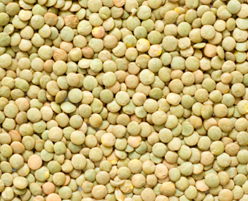combien cuire les lentilles
