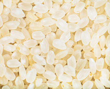 Riz italica combien faire cuire le riz italica