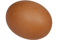oeufs de poule