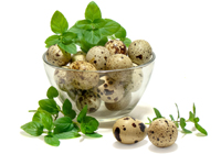 oeufs de caille