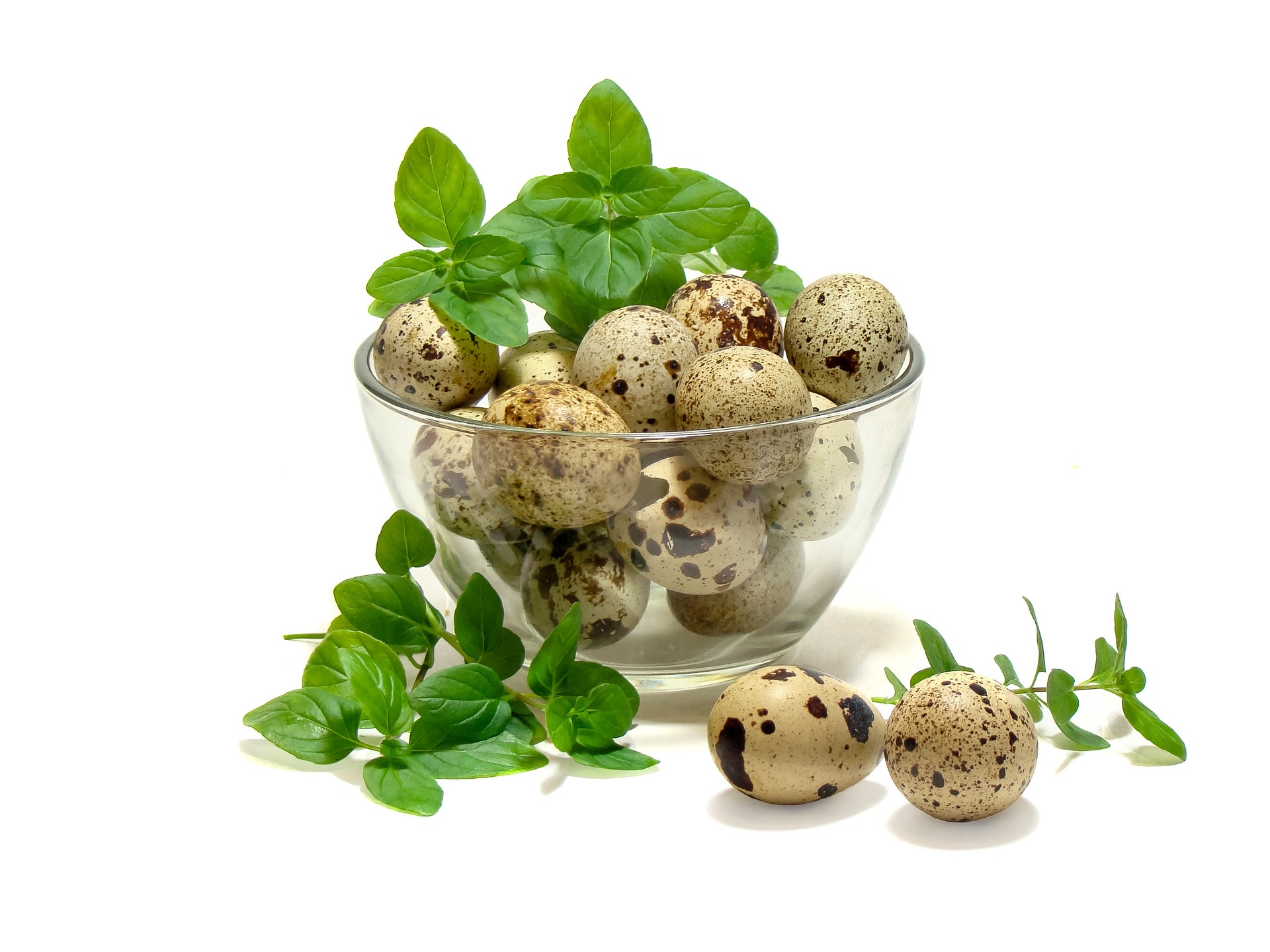recette d'oeufs de caille combien faire cuire des œufs de caille