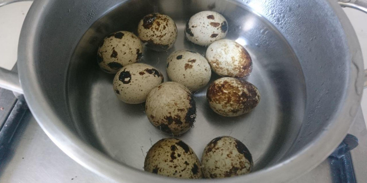 oeufs de caille dans l'eau verser les œufs de caille avec de l'eau