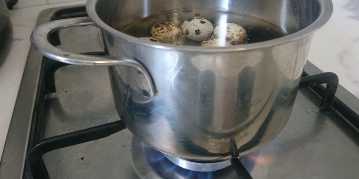 les œufs de caille sont bouillis les œufs de caille sont bouillis
