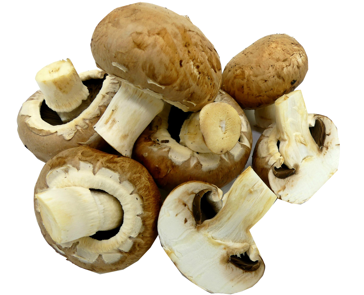 faire cuire des champignons