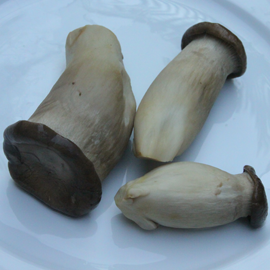 champignons eringa cuits champignons eringi bouillis