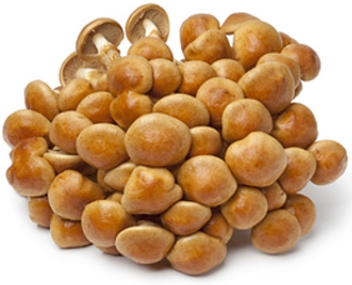 nom de champignons
