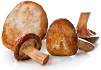 les cochons