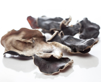 champignons ligneux