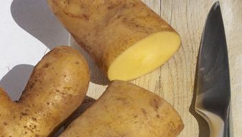 s'il faut éplucher les pommes de terre