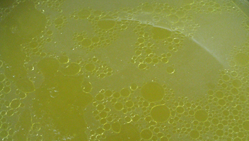 gelée