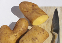 Patate