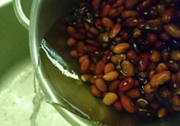 haricots ratatinés