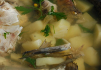 Patate