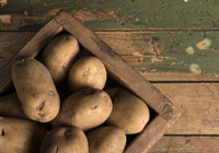 Patate