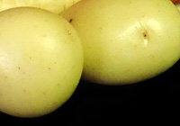 Patate