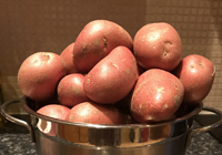 Patate