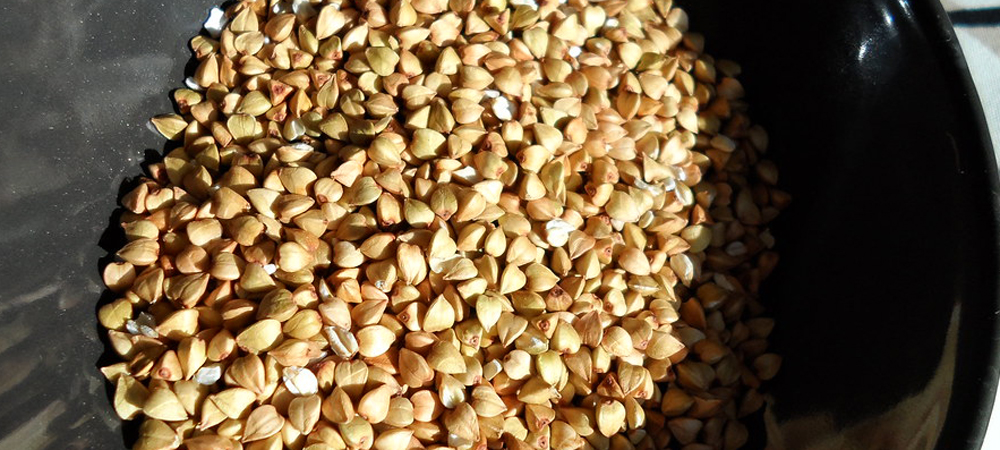 sarrasin