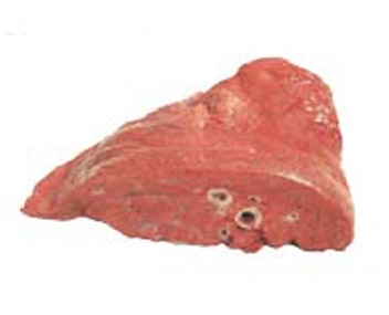 combien cuire le poumon de boeuf