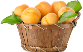 confiture d'abricot