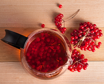 combien faire cuire la compote de viorne comment faire cuire la compote de viburnum