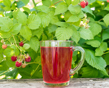 compote de framboises compote de framboises