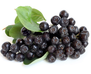 boisson aux fruits de mûre combien cuire une boisson aux fruits à la mûre