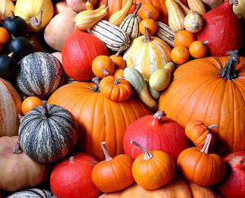 combien de minutes pour cuire la confiture de citrouille faire cuire la confiture de potiron