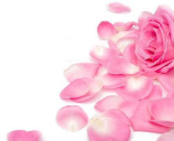 combien de minutes pour cuire la confiture de rose faire de la confiture à partir de pétales de rose