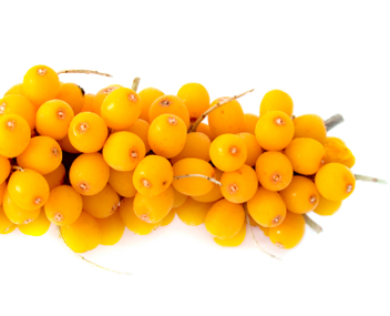 combien de minutes pour faire cuire la confiture d'argousier faire cuire la confiture d'argousier