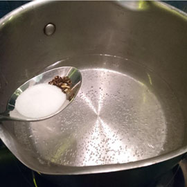 Eau salée pour crevettes