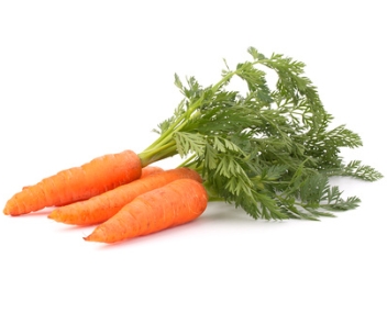 dessus de carottes préparer les dessus de carottes
