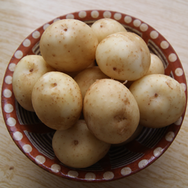 pommes de terre crues