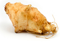 topinambour