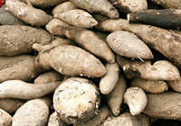 patate douce