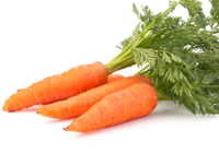 Hauts de carottes