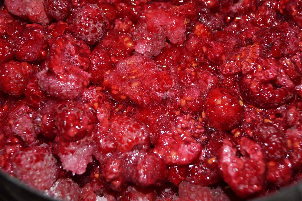 framboises épuisé